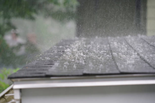 Best Gutter Installation and Repair  in Decatur, AR